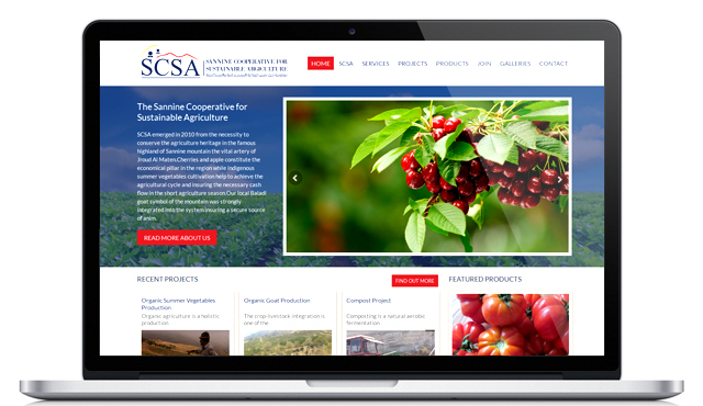 Website for SCSA