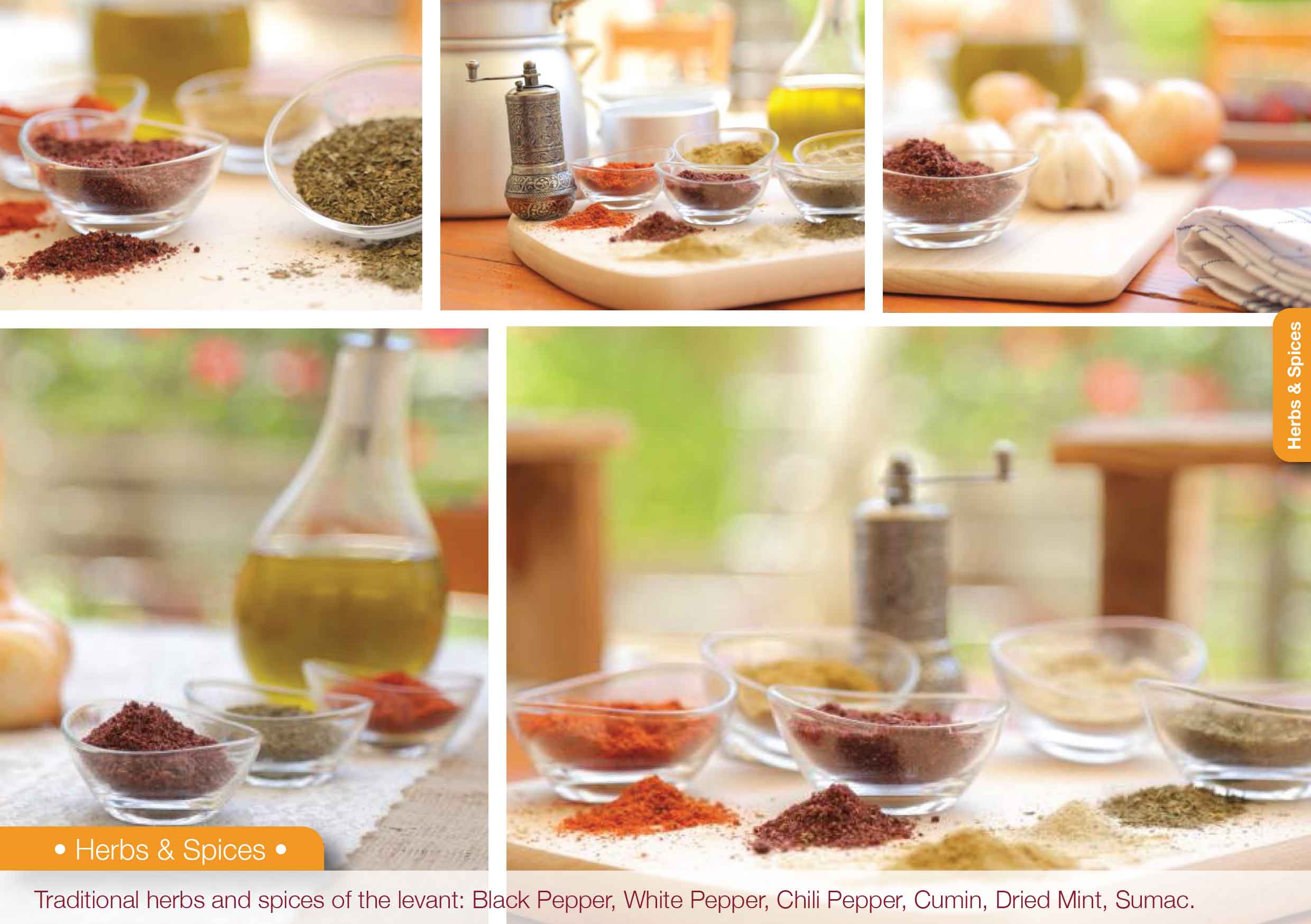 Corporate Brochure & Catalog